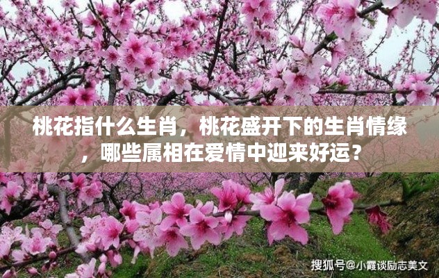 桃花盛开下的生肖情缘,哪些属相在爱情中迎来好运?