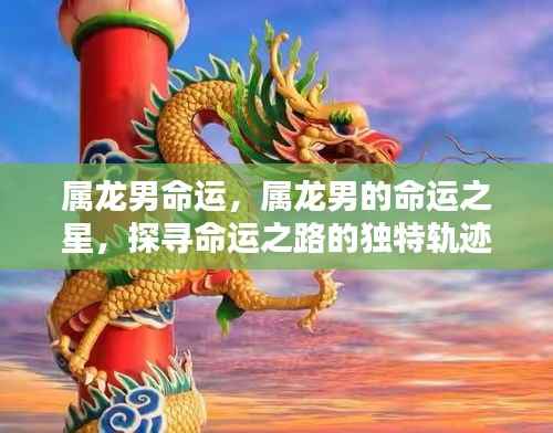 翰飞戾天 第3页