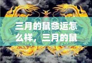三月生肖鼠命运解析,星象指引下的运势展望
