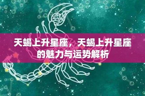 天蝎上升星座的魅力与运势深度解析