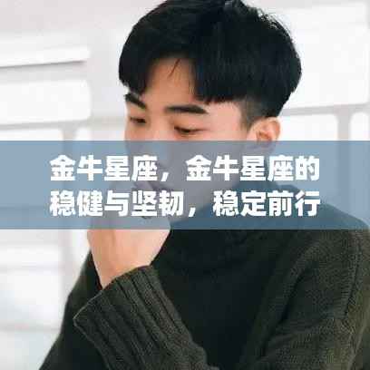 金牛星座,稳健坚韧之力,稳定前行的力量之星