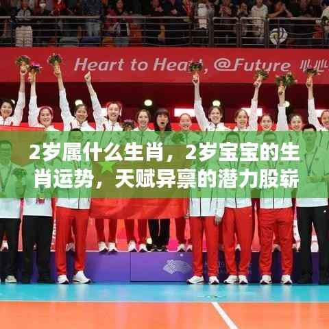 揭秘两岁宝宝生肖运势与天赋潜力,崭露头角的潜力股