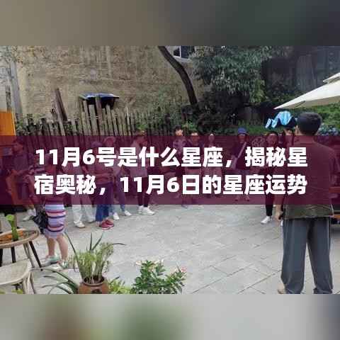 揭秘星宿奥秘,11月6日的星座运势解析与特点探索
