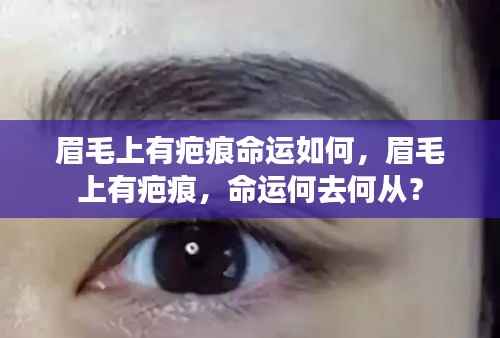 眉毛疤痕与命运,疤痕影响及命运展望