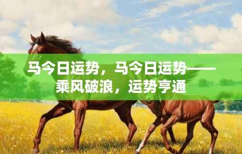 马今日运势,乘风破浪,运势亨通大解析