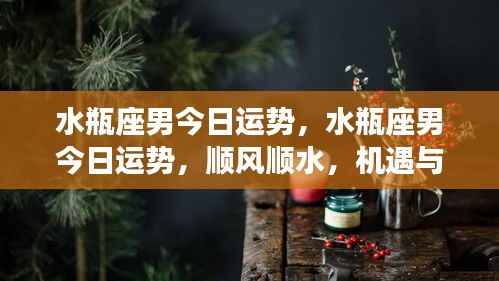 水瓶座男今日运势详解,机遇与挑战并存,顺风顺水展现个人魅力