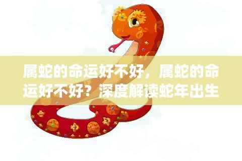 属蛇的命运深度解读,运势走向与命运解析