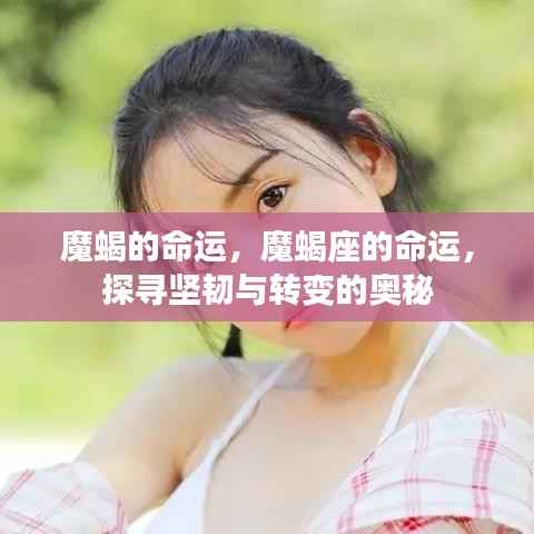 魔蝎座的命运之谜,探寻坚韧与转变的奥秘之旅