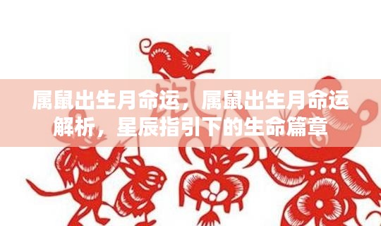 星辰指引下的属鼠命运解析,出生月对命运的影响揭秘