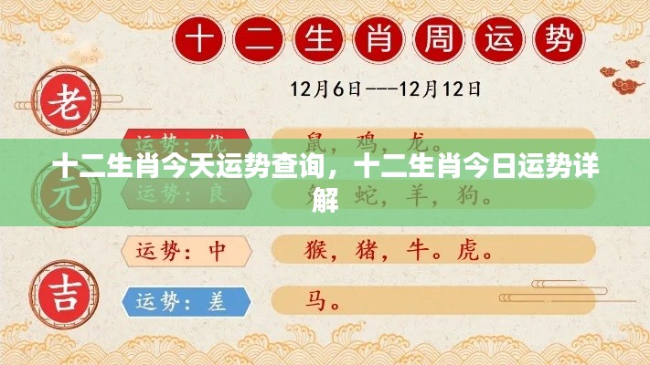 十二生肖今日运势详解及查询结果分析