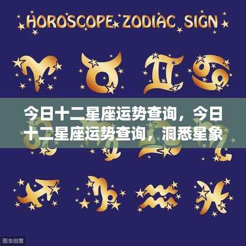 今日十二星座运势解析,洞悉星象奥秘,掌握个人运势走向。