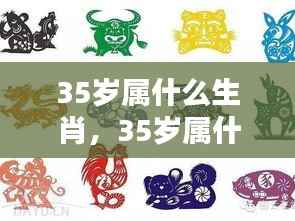 揭秘,35岁属相生肖运势与人生轨迹解析