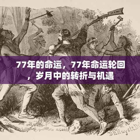 岁月轮回下的转折与机遇,探寻命运中的77年之谜