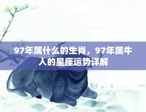 1997年属牛人的星座运势全面解析