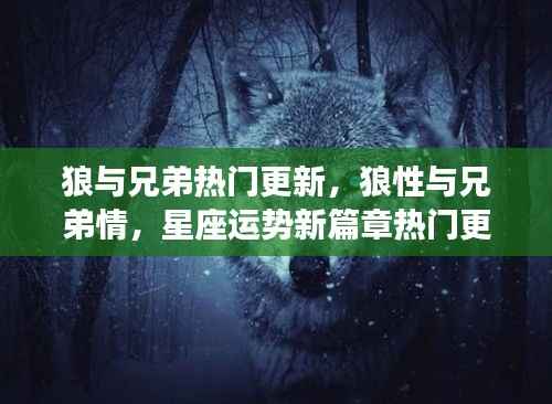 狼与兄弟,星座运势新篇章,狼性与兄弟情的热门更新