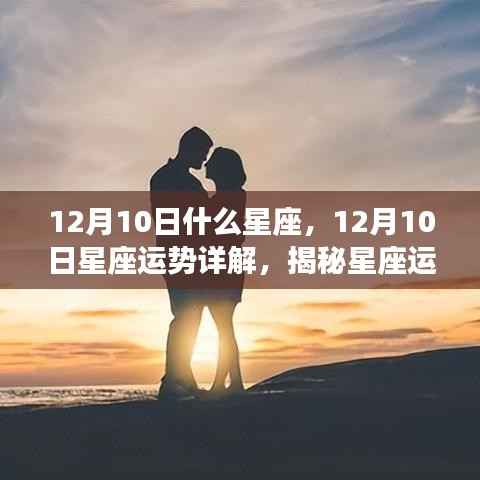 揭秘星座运势秘密,12月10日星座运势详解及星座特征探索