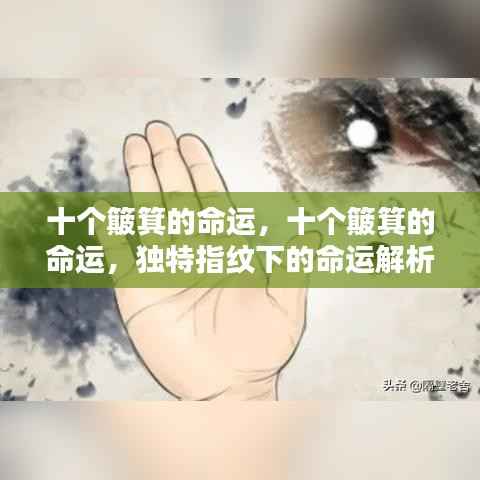 独特指纹下的命运之谜,十个簸箕的命运解析