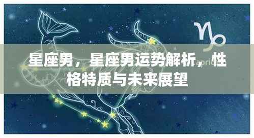 星座男运势解析,性格特质与未来展望展望报告
