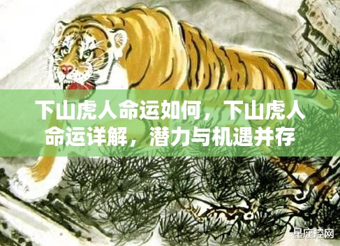 下山虎人的命运详解,潜力与机遇并存的人生轨迹
