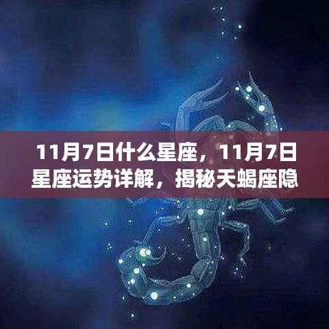 揭秘天蝎座,11月7日星座运势与神秘魅力深度解析