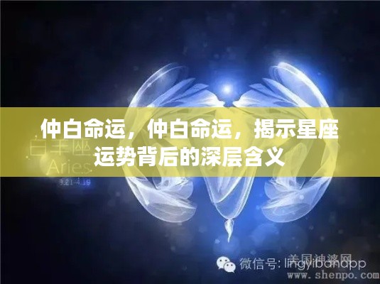仲白命运揭秘,星座运势背后的深层内涵解析