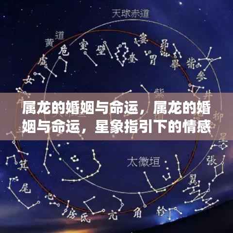 属龙婚姻与命运,星象指引下的情感人生旅程