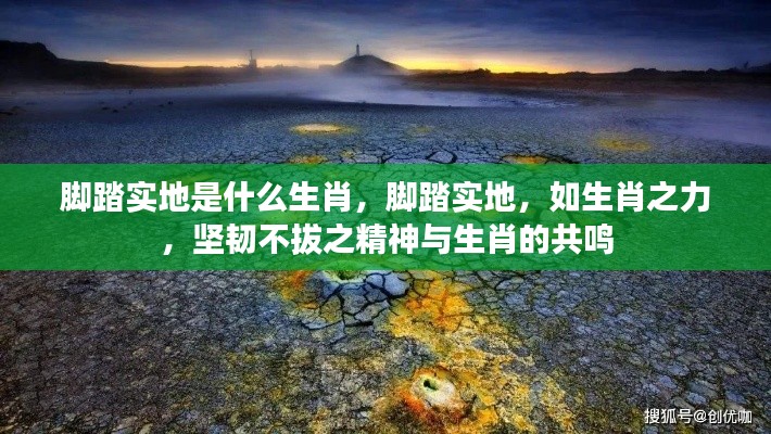 脚踏实地精神与生肖共鸣,坚韧不拔的生肖力量