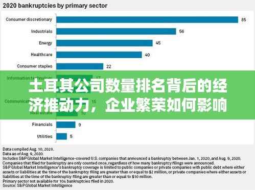 土耳其公司数量排名背后的经济推动力,企业繁荣如何影响国家经济?