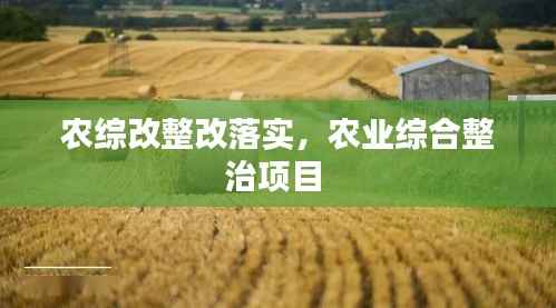 农综改整改落实,农业综合整治项目