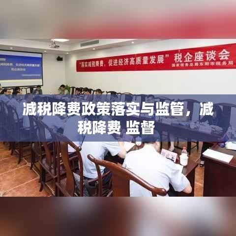 减税降费政策落实与监管,减税降费 监督