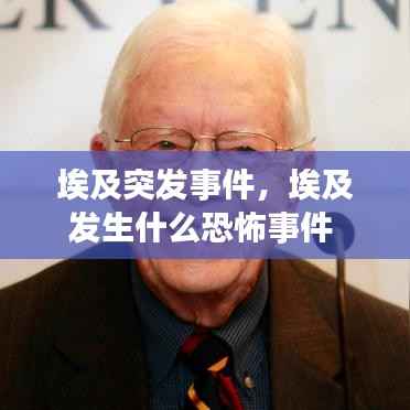 埃及突发事件,埃及发生什么恐怖事件