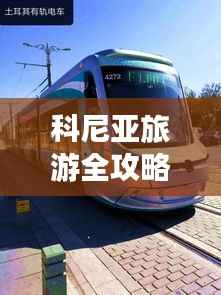 科尼亚旅游全攻略指南