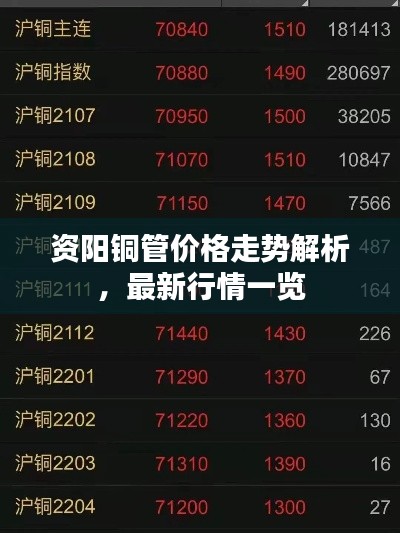 一毫不苟 第3页