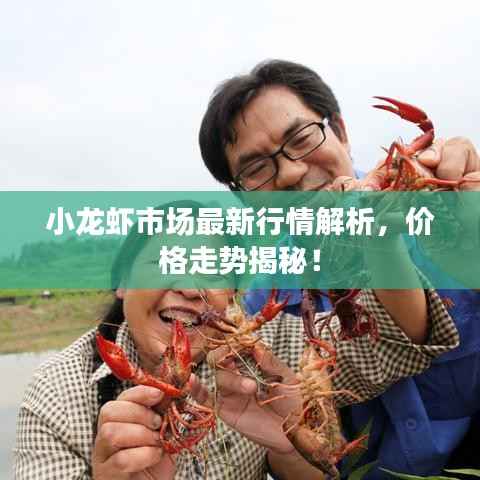 小龙虾市场最新行情解析,价格走势揭秘!