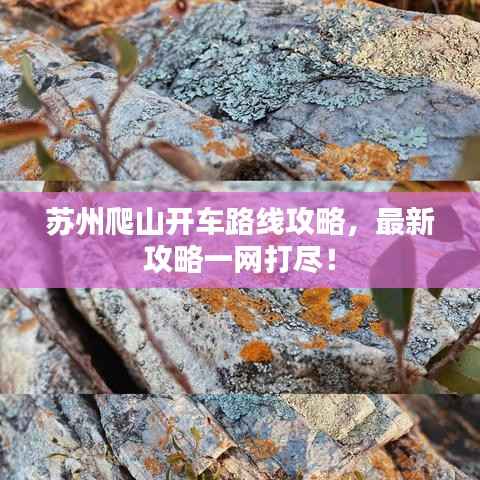 苏州爬山开车路线攻略,最新攻略一网打尽!