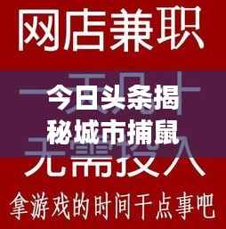 今日头条揭秘城市捕鼠行动幕后故事,捕鼠新闻视频火热上线!