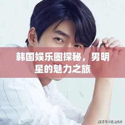 韩国娱乐圈探秘,男明星的魅力之旅