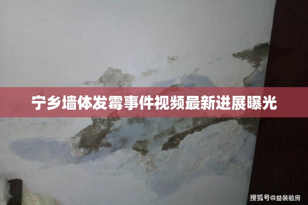 窗明几净 第3页