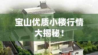 宝山优质小楼行情大揭秘!