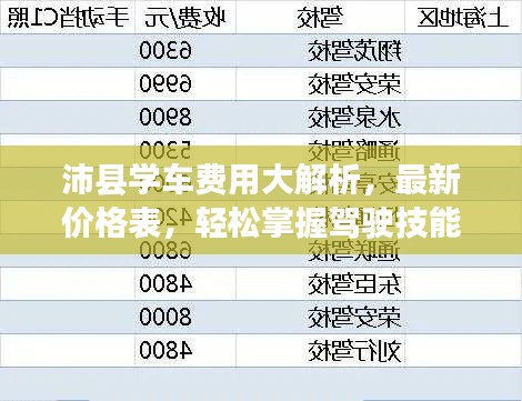 沛县学车费用大解析,最新价格表,轻松掌握驾驶技能学习成本!