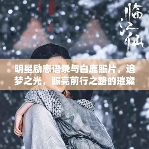 明星励志语录与白鹿照片,追梦之光,照亮前行之路的璀璨星辰