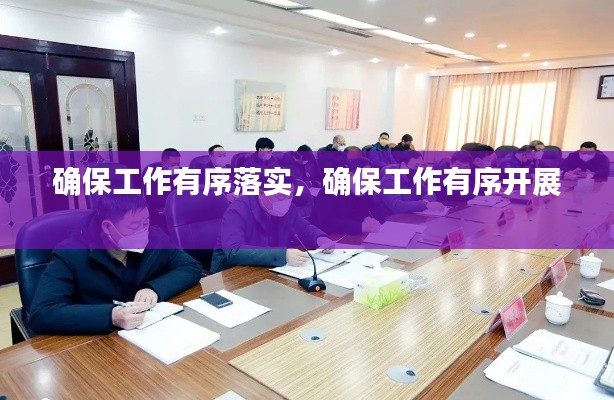 确保工作有序落实,确保工作有序开展