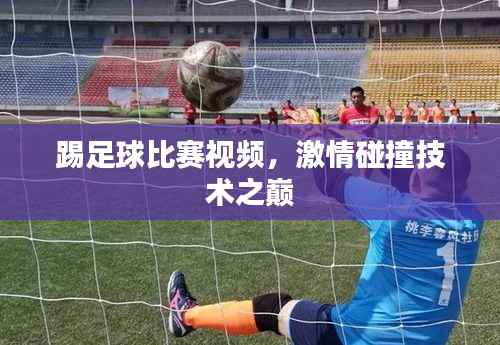 踢足球比赛视频,激情碰撞技术之巅