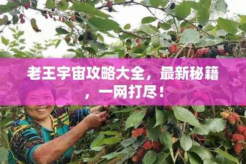 老王宇宙攻略大全,最新秘籍,一网打尽!