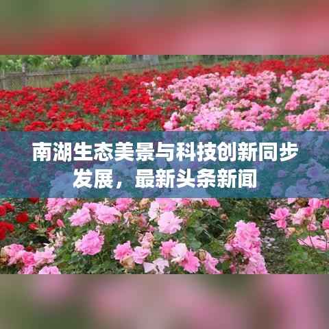 南湖生态美景与科技创新同步发展,最新头条新闻