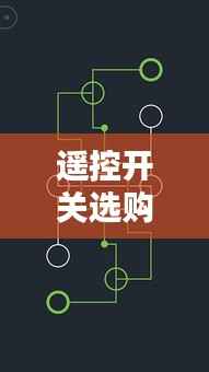遥控开关选购攻略,价格、图片及关键要素全解析