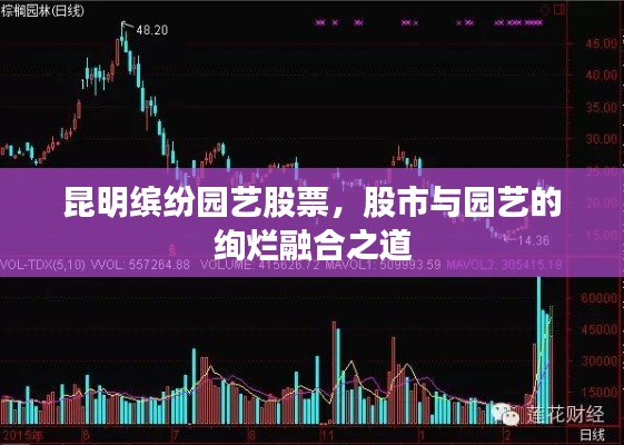 昆明缤纷园艺股票,股市与园艺的绚烂融合之道