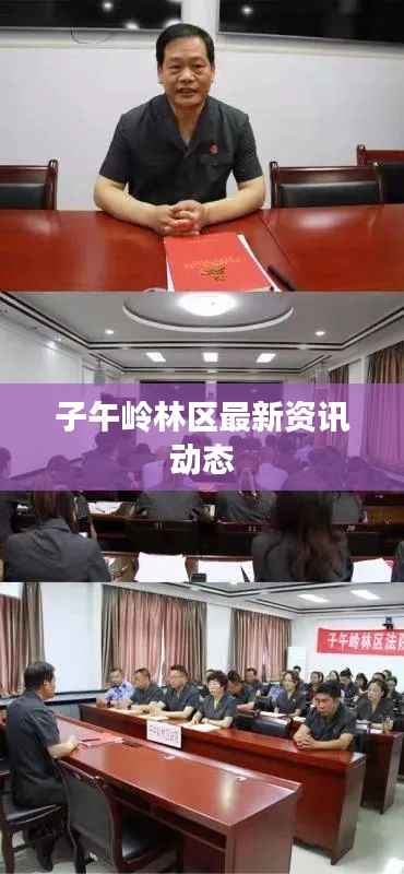 子午岭林区最新资讯动态