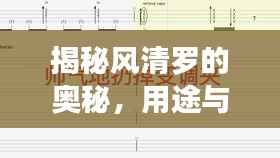 揭秘风清罗的奥秘,用途与背后含义深度解析