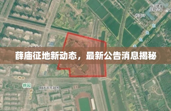 薛庙征地新动态,最新公告消息揭秘